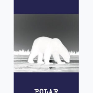 Polar Vortex